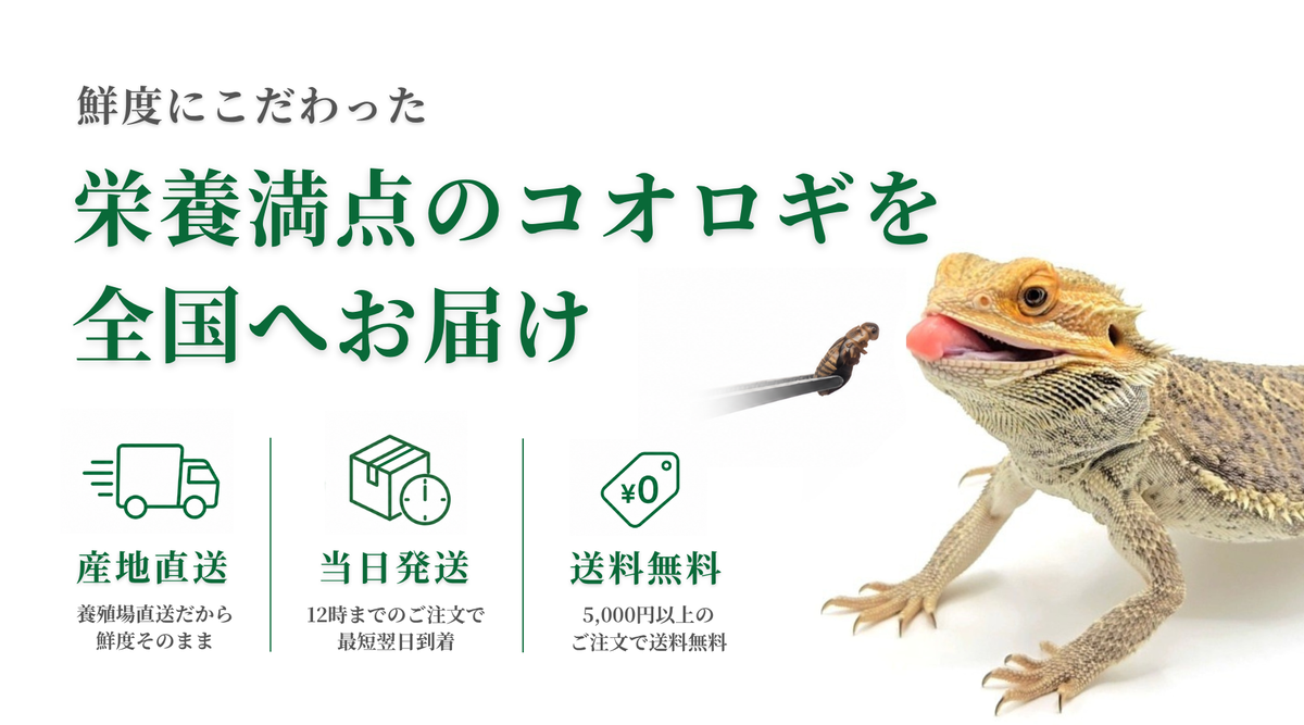 常磐こおろぎ