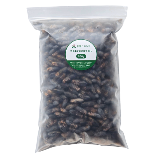 冷凍フタホシコオロギ ML 500g（約900匹）