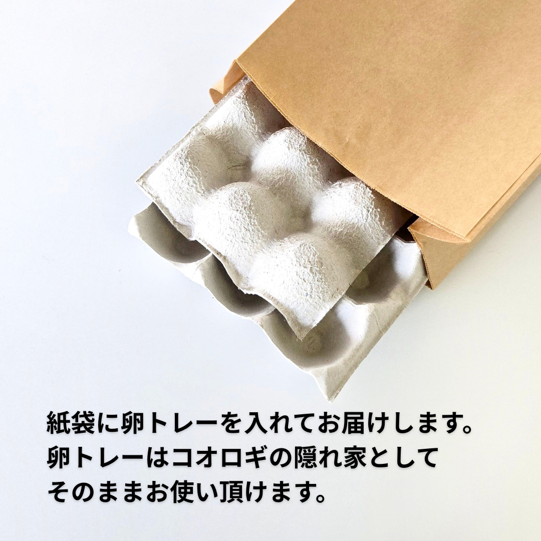 ヨーロッパイエコオロギ 2S 10g（約300匹）