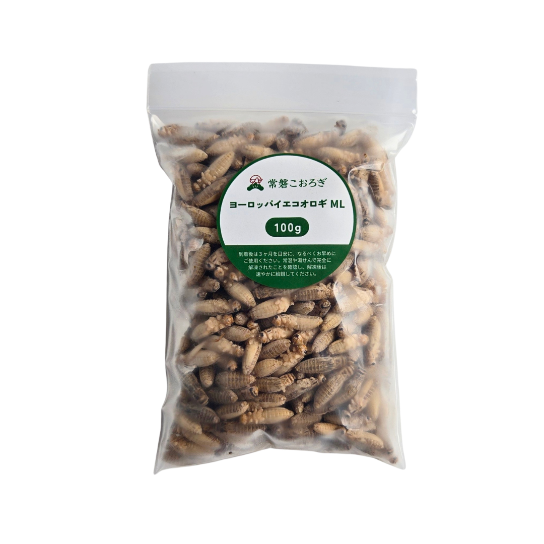 冷凍ヨーロッパイエコオロギ ML 100g（約220匹）