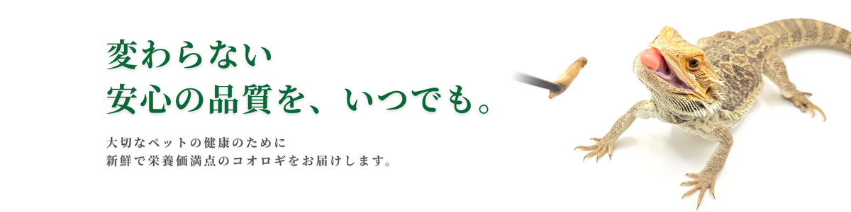 常磐こおろぎ